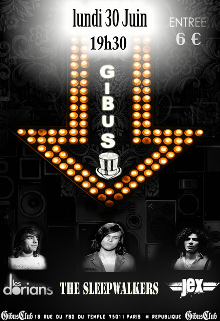 gibus-flyer-3d542a.jpg