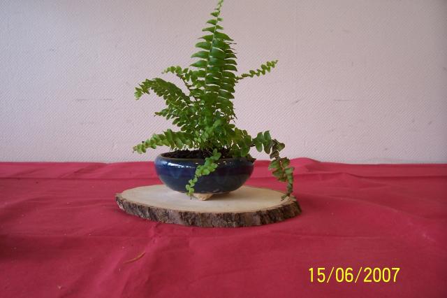 Image: 100_6927-420ad2.jpg