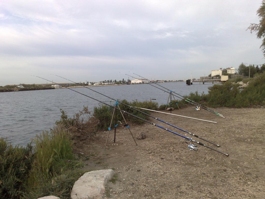 Image: ti1--32c1b1.jpg