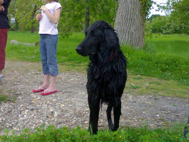 Image: 04052008825-35ef7b.jpg