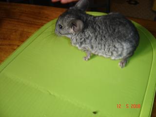 Image: dsc03247-3493d7.jpg