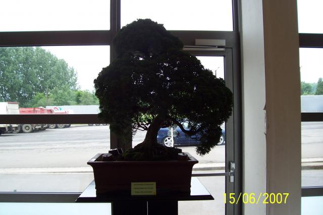Image: 100_6897-4209bc.jpg