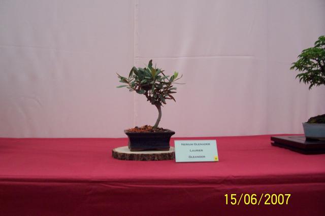 Image: 100_6842-4204a8.jpg