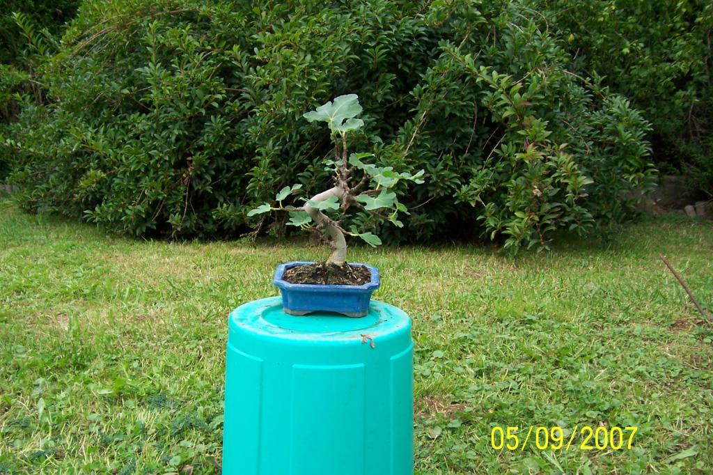 Image: 100_5448-355506.jpg