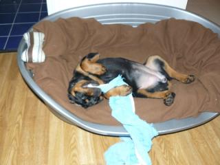 Image: p1010709-3391b6.jpg