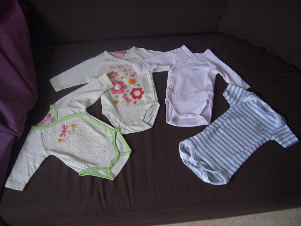 Image: cimg5309-3163ab.jpg