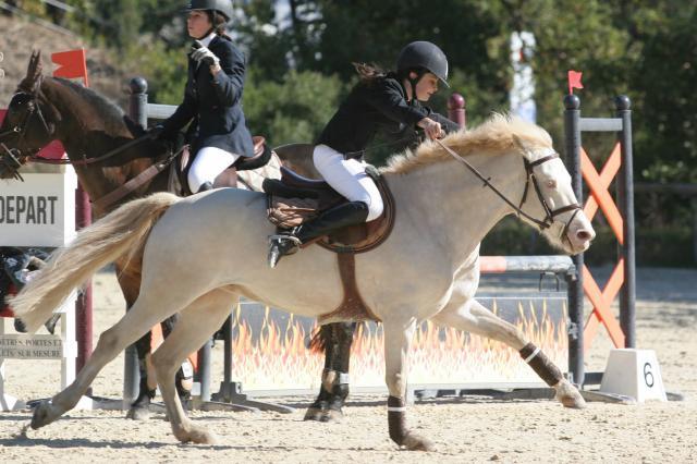 L'homme n'aura jamais la perfection du cheval. Chocolatblanc8-10edc47