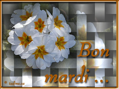 Bon mardi matin 36ea0f01a4-1--2f0632