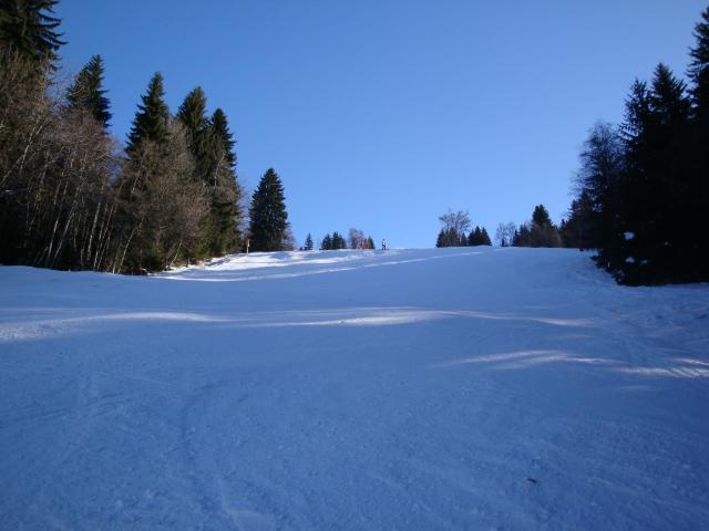 Grand bois; Megève Mont d'arbois Dsc00574-96078a