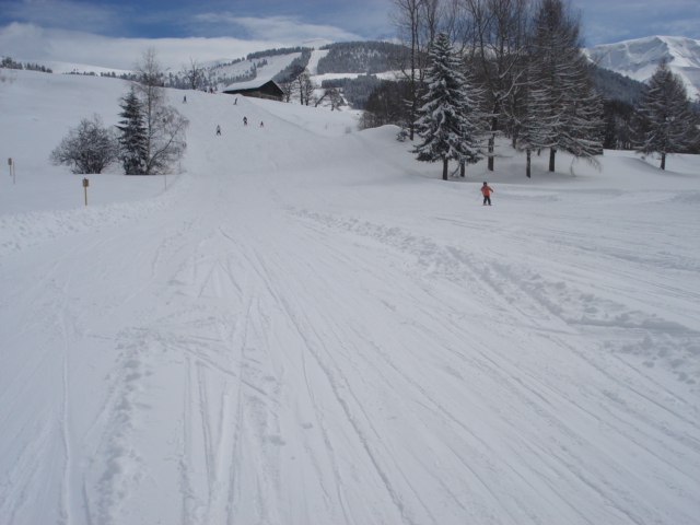 Les Mandarines / Megève Mont d'Arbois Dsc04018-39f196