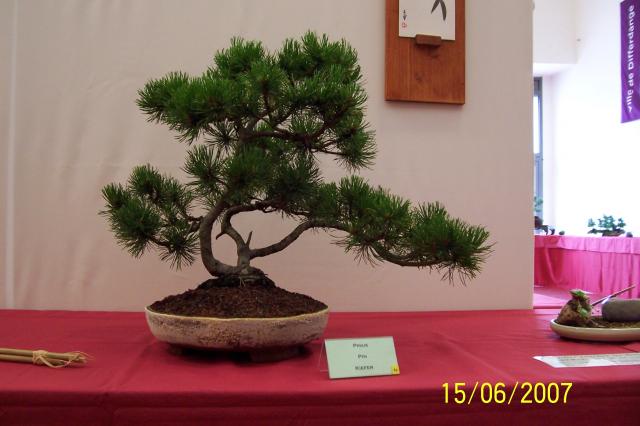 Image: 100_6837-42042c.jpg