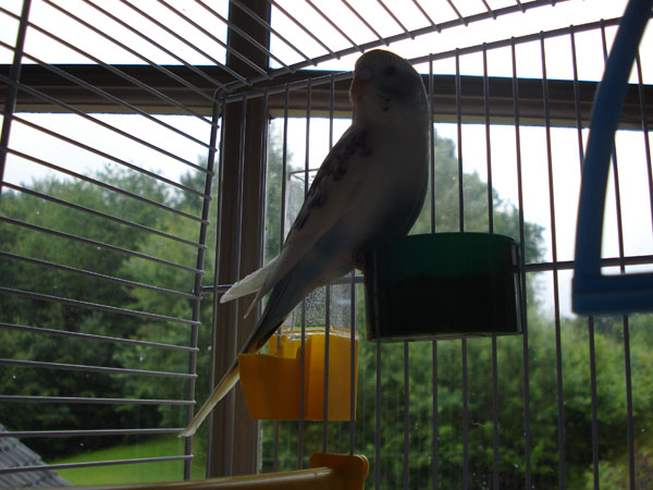 Image: dsc01442-4adfa6.jpg