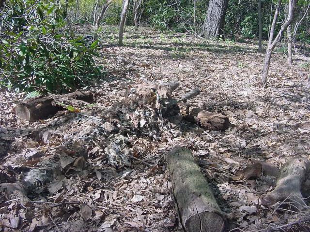 Image: sniper20pronewlogrear2sz-316e48.jpg