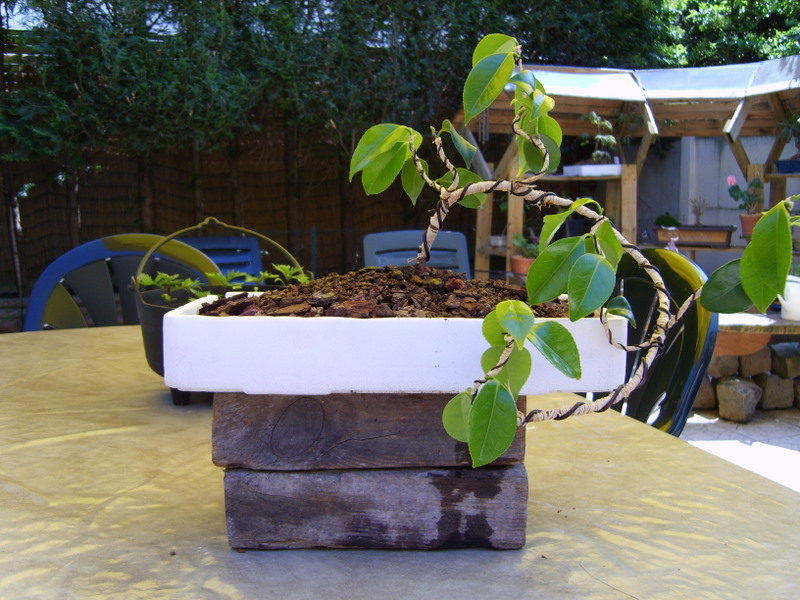 Image: s8300171-32cb7f.jpg